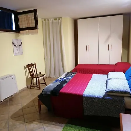 Bucganvilla *