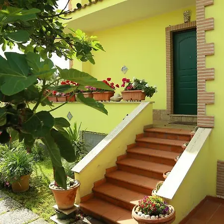 Bucganvilla * Fiumicino