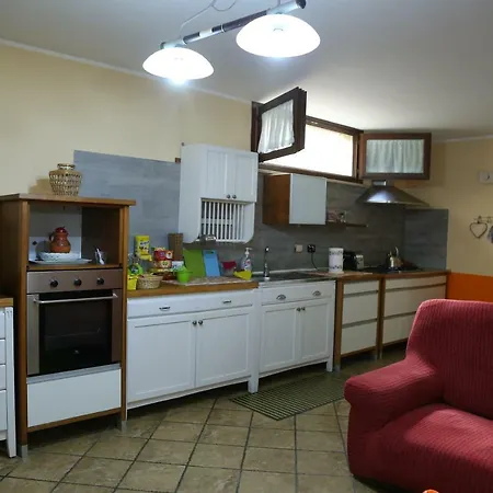 Bucganvilla
