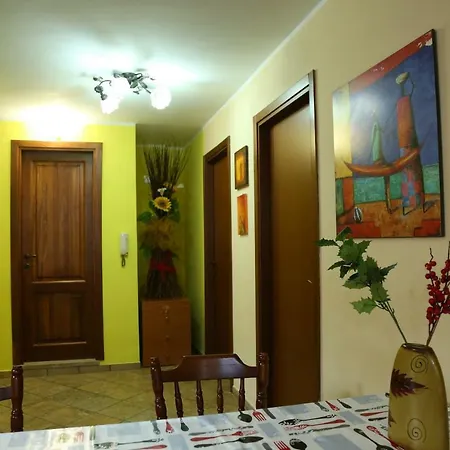 Bucganvilla